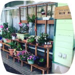 デイサービス本郷作業写真