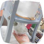 デイサービス本郷作業写真