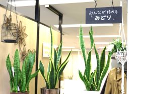 ひとはなみどり事業所