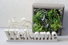 ヘルパー人・花ほどがや事務所