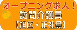 旭区　オープニング　初任者研修　訪問介護員　正社員　求人