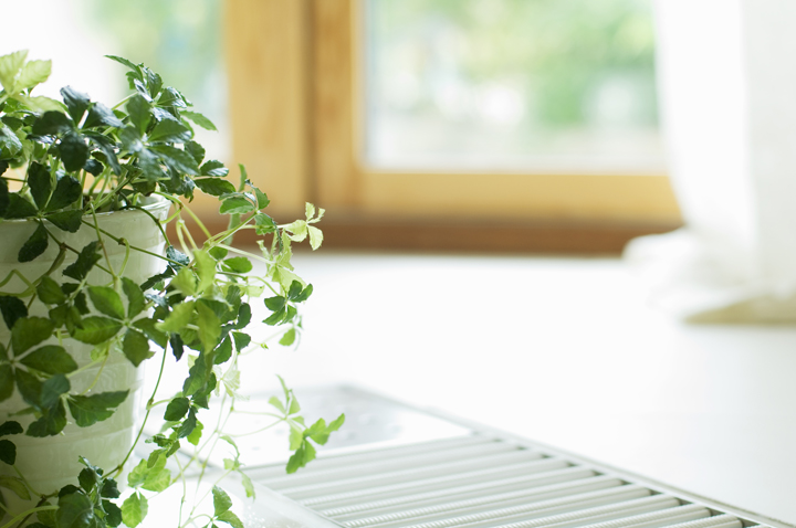 見守り・話し相手