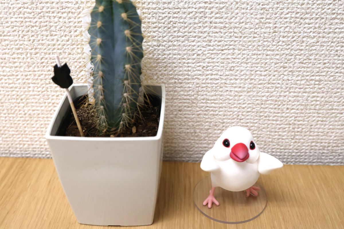 ヘルパー事業所 人・花 みどり 事業所内の様子