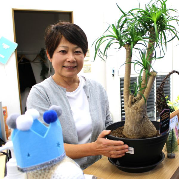 ケアマネの仕事風景