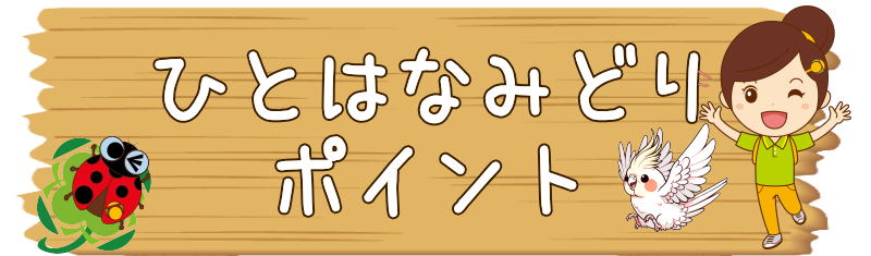 介護相談センターひとはな