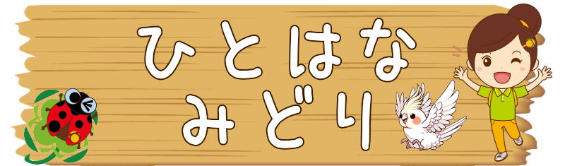 介護相談センターひとはな