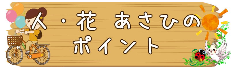 ヘルパー　ポイント