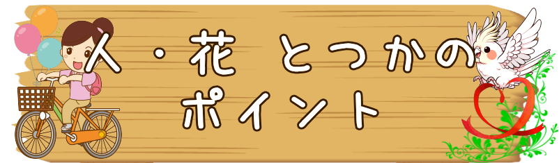 人・花とつかのポイント