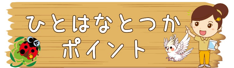 ひとはなとつか　ポイント