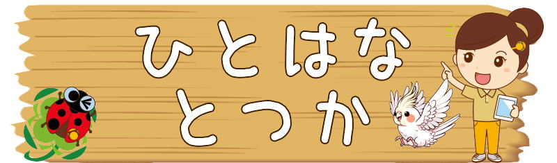 介護相談センターひとはな